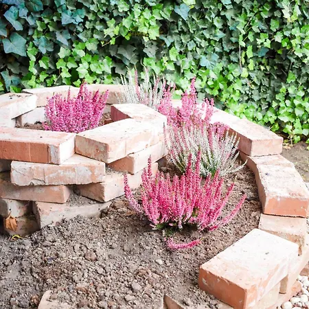 With Garden & Free Parking & Late Check Out