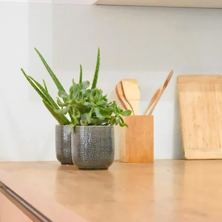 Apartment With Garden & Free Parking & Late Check Out *